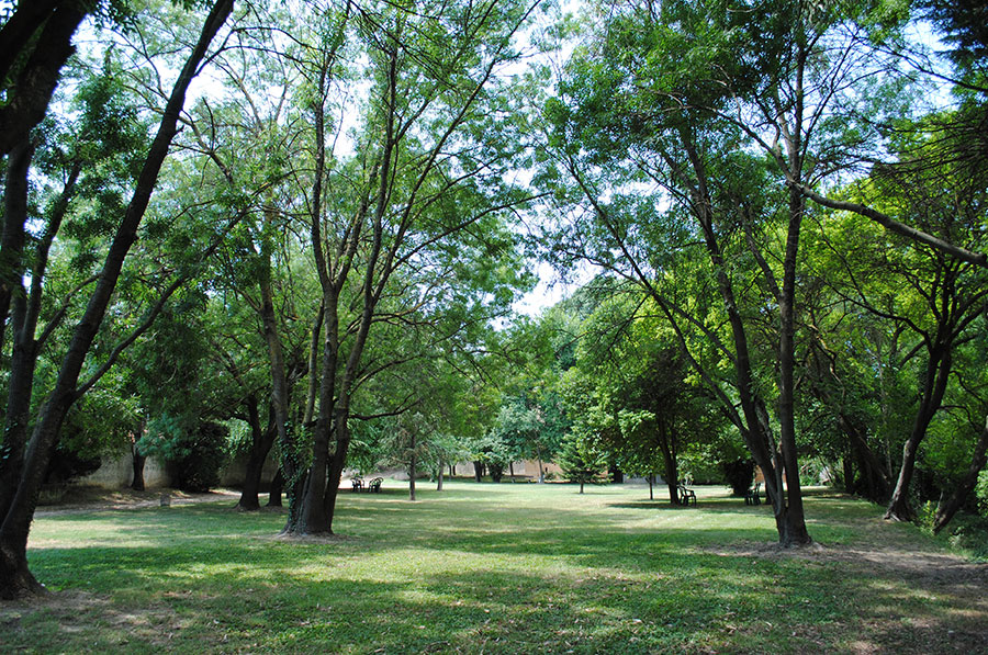 portfolio parc clinique ste therese 1